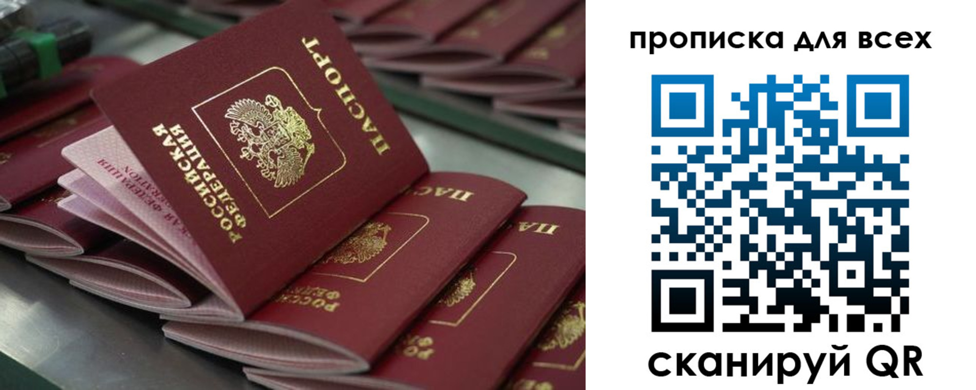 найти адрес прописки в Светлогорске